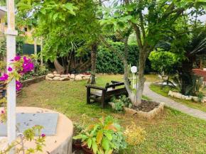 Appartamenti vacanze Andolfi Porto Azzurro